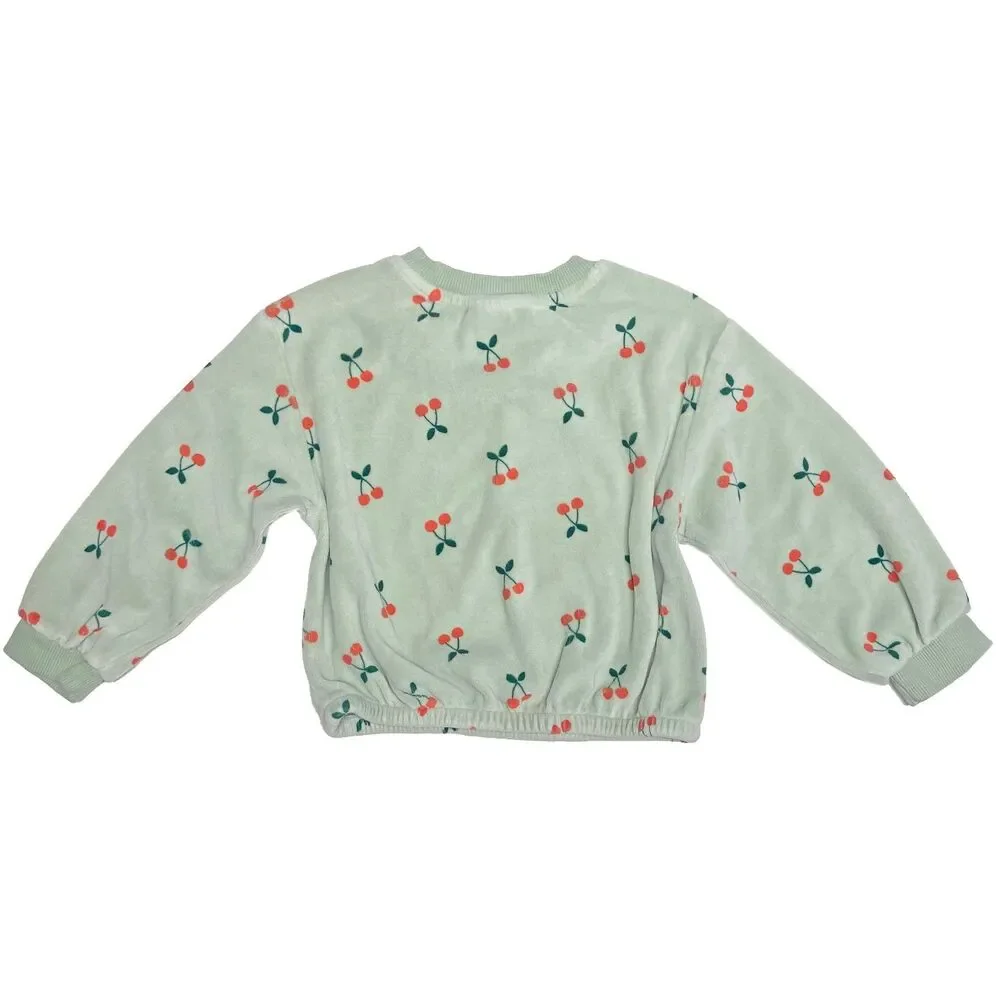 Hanna Andersson Sweatpants & Top Size 3T Green Cherry Print Velour Cotton Blend